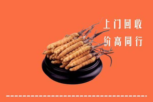 高价求购：娄星区回收散虫草