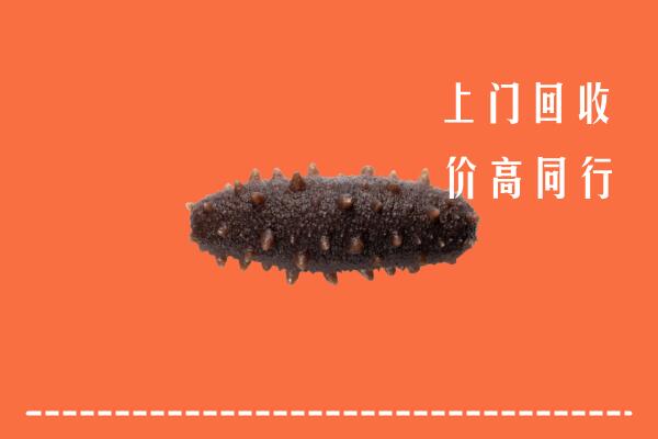 娄星区回收海参