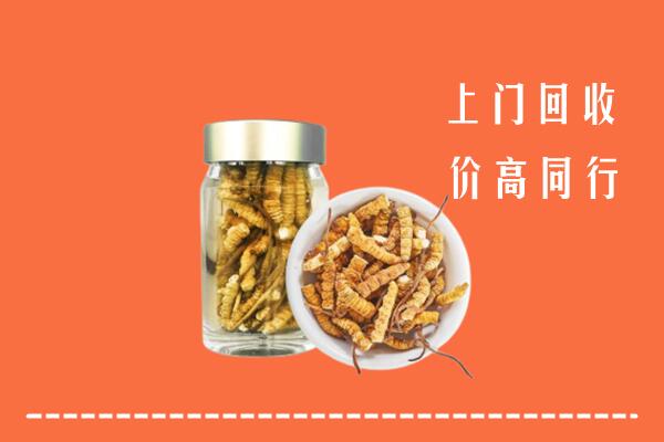 娄星区回收冬虫夏草