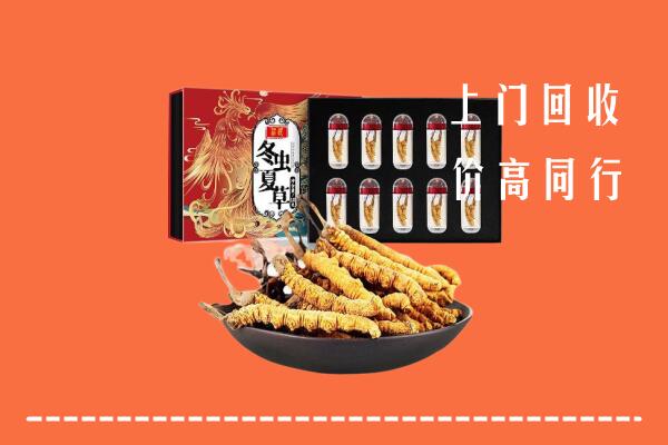 娄星区回收虫草